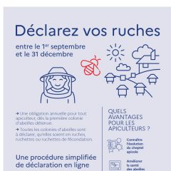 Déclarez vos ruches