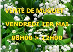 Vente de muguet