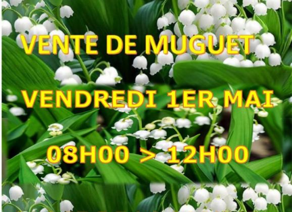 Vente de muguet