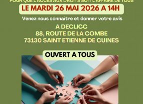 Comité de pilotage France Services