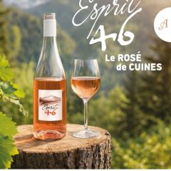 Causerie dans les vignes