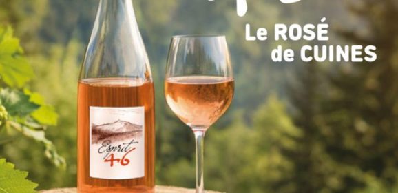 Causerie dans les vignes
