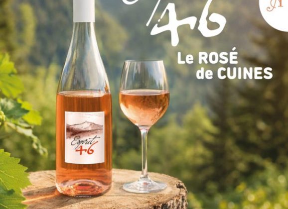 Causerie dans les vignes
