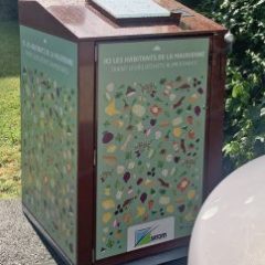 Déchets alimentaires