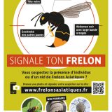 Signale ton frelon