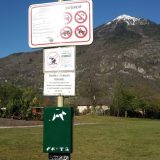 Déjections canines
