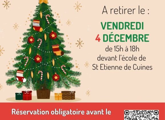 Vente de sapins de Noël