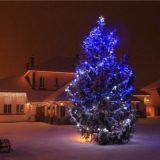 Cérémonie des vœux