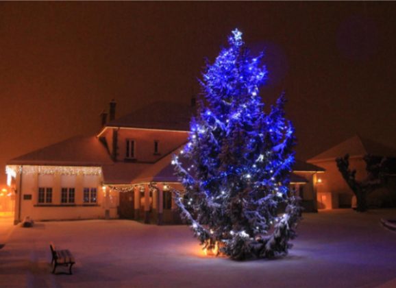 Cérémonie des vœux